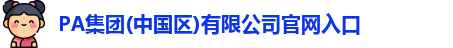 PA集团官网